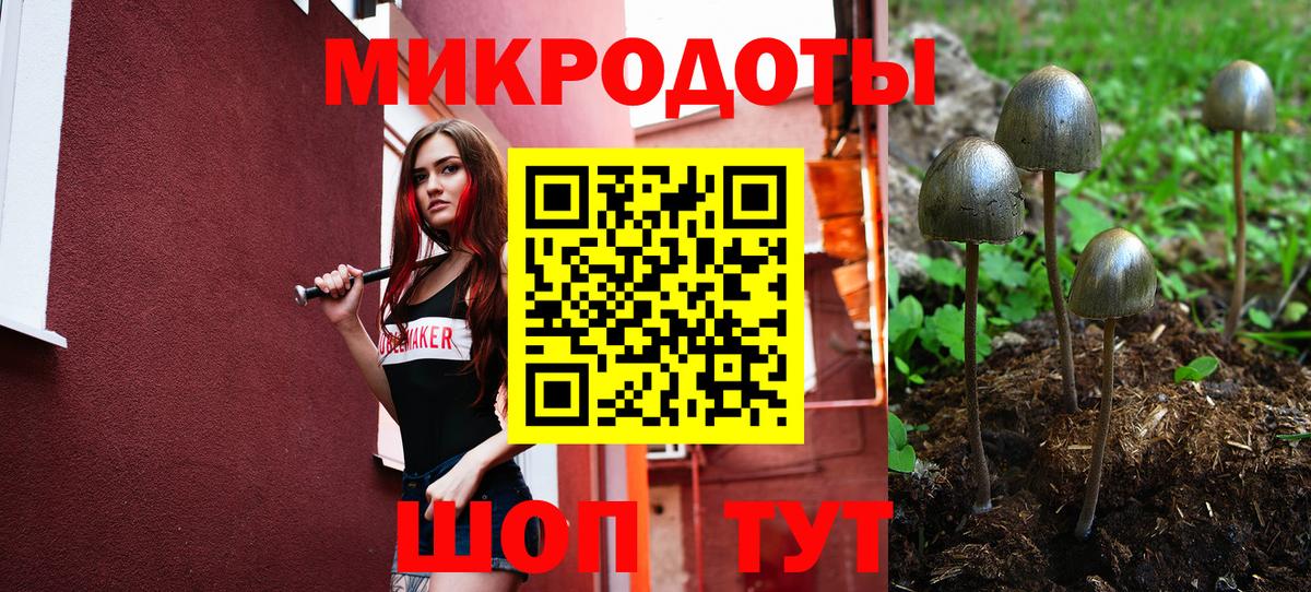 Галлюциногенные грибы GOLDEN TEACHER  Вход с VPN  Сальск 