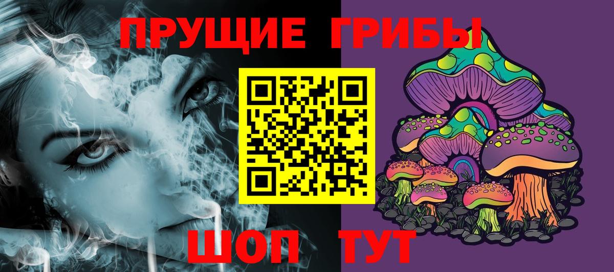 Псилоцибиновые грибы Psilocybine cubensis Сальск
